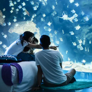 國泰商旅股份有限公司