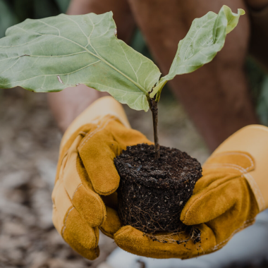 投入在地綠色共好 優先使用在地食材